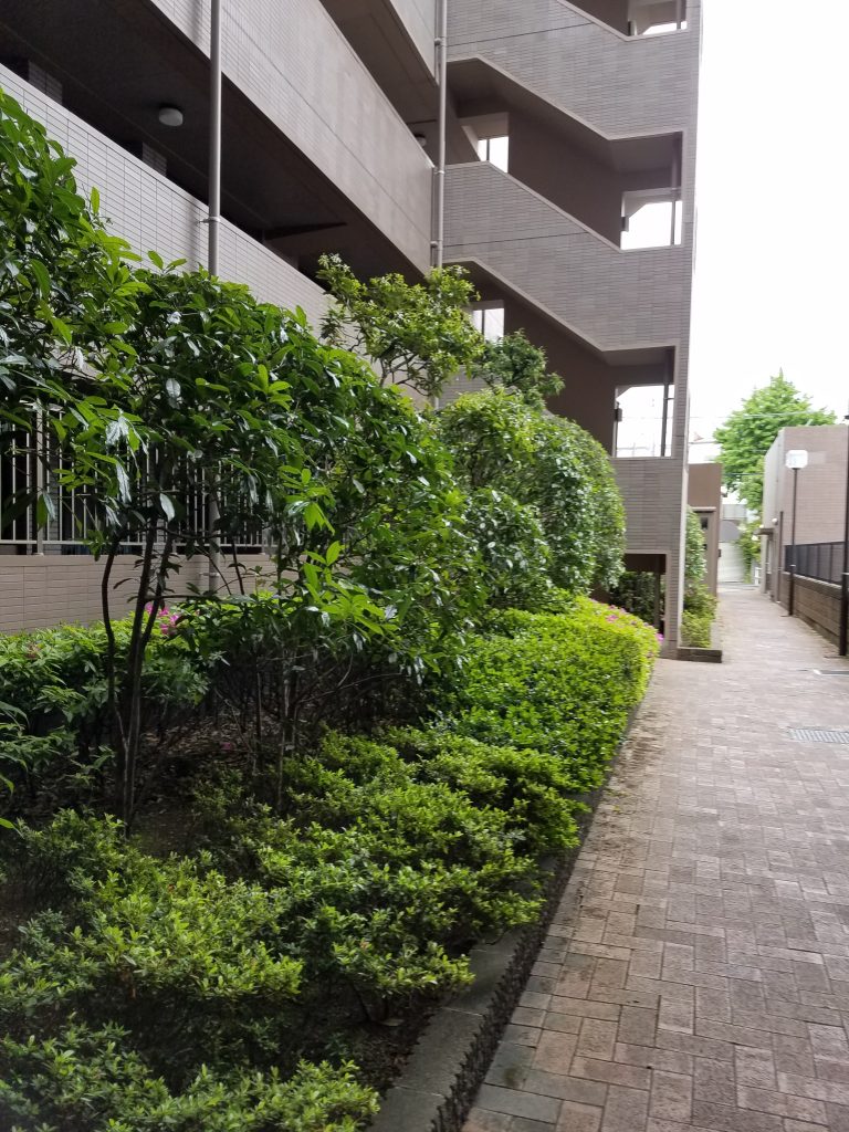 20190507 140625 1 e1557229702785 768x1024 - マンション 植栽管理      屋上植栽管理（葛飾 江東 御庭番）