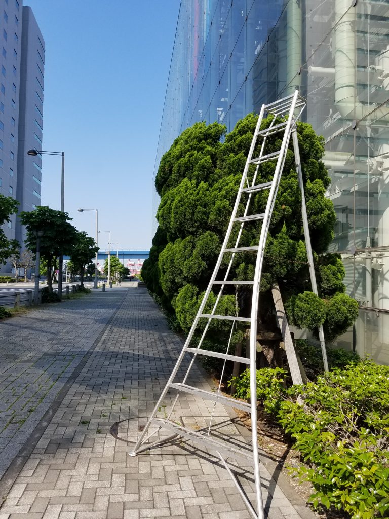 20190524 080621 e1558701506918 768x1024 - 基本作業 剪定 刈込 （台場 御庭番）