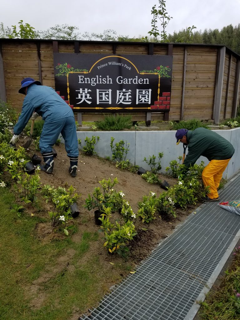 20190610 100511 e1560171896931 768x1024 - 本宮ウィリアムズパーク植栽管理（福島 御庭番）