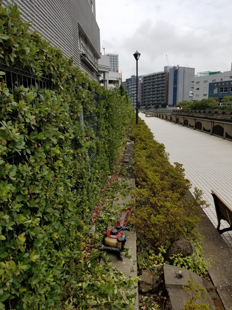 20191008 104422 e1570535260722 768x1024 - 品川　芝浦　御庭番　１００８