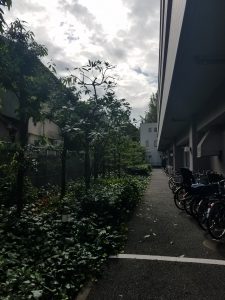 20191015 094423 e1571140848927 225x300 - 20191015_094423