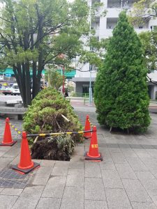 20191015 111505 e1571141419712 225x300 - 20191015_111505