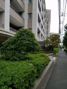 20191024 162343 e1572002485113 225x300 - 20191024_162343