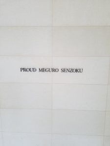 20191031 075006 e1572792590629 225x300 - 20191031_075006