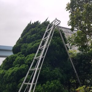 20210513 103946 300x300 - 20210513_103946