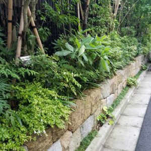 20210709 140112 300x300 - 20210709_140112