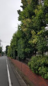 20210901 075209 169x300 - 20210901_075209