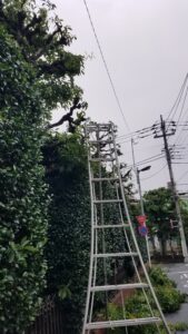 20210901 150024 169x300 - 20210901_150024