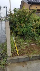 20210906 120023 1 169x300 - 20210906_120023-1