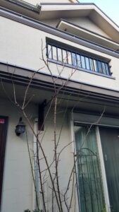 20230128 153728 169x300 - 20230128_153728