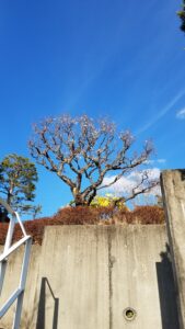 20230205 152402 3 169x300 - 20230205_152402-3