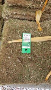 20230429 095842 169x300 - 20230429_095842