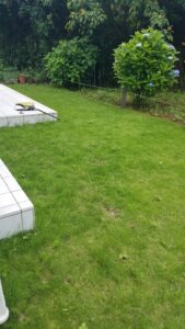 20230601 092954 169x300 - 20230601_092954