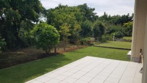 20230601 130923 1 300x169 - 20230601_130923-1