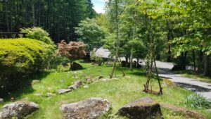 20230605 112747 300x169 - 20230605_112747