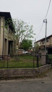 20230610 150318 169x300 - 20230610_150318