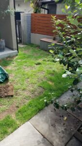 20230613 084800 1 169x300 - 20230613_084800-1