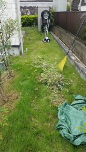 20230614 114250 169x300 - 20230614_114250