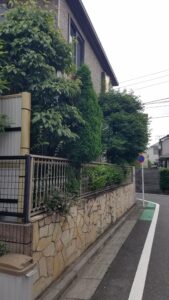 20230615 082337 169x300 - 20230615_082337