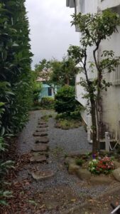 20230622 093019 169x300 - 20230622_093019