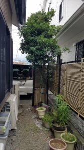 20230623 130916 169x300 - 20230623_130916