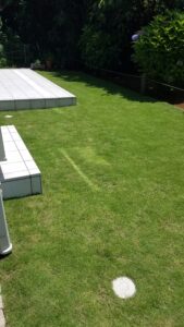 20230702 122019 169x300 - 20230702_122019