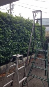 20230704 090335 169x300 - 20230704_090335