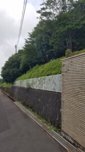 20230704 090413 1 169x300 - 20230704_090413-1