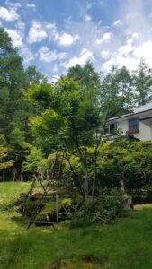 20230706 112428 2 169x300 - 20230706_112428-2