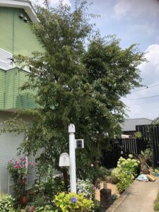 b932ba10 142c 11ee a404 3b9d2bab480d 225x300 - b932ba10-142c-11ee-a404-3b9d2bab480d