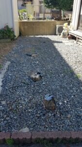 20230924 103807 169x300 - 20230924_103807