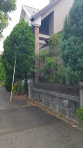 20230926 105840 169x300 - 20230926_105840