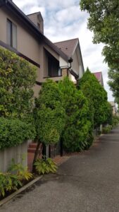 20231002 092214 169x300 - 20231002_092214