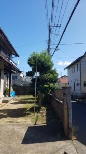 20231007 121854 169x300 - 20231007_121854