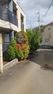 20231010 125821 169x300 - 20231010_125821