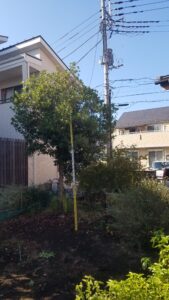 20231018 142640 169x300 - 20231018_142640