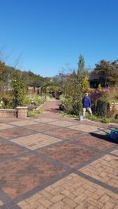 20231026 100214 169x300 - 20231026_100214