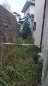 20231027 130329 1 169x300 - 20231027_130329-1