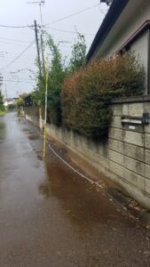 20231029 083111 169x300 - 20231029_083111