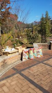 20231030 091821 169x300 - 20231030_091821