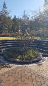 20231030 091902 169x300 - 20231030_091902