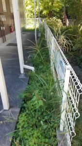 20231016 112701 1 169x300 - 20231016_112701-1