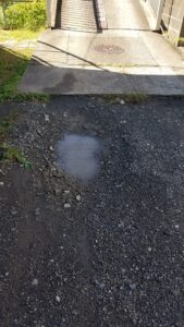 20231016 113102 169x300 - 20231016_113102