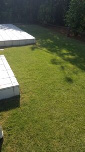 20231103 102057 169x300 - 20231103_102057