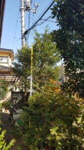 20231104 090428 169x300 - 20231104_090428