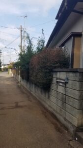 20231105 095836 169x300 - 20231105_095836