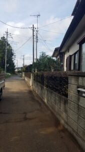 20231105 125021 169x300 - 20231105_125021