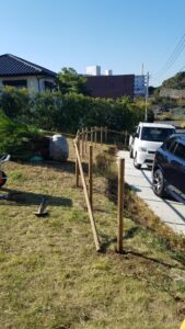 20231128 114411 169x300 - 20231128_114411