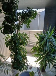 490295236 2483166058683337 5347342169189490622 n 221x300 - 490295236_2483166058683337_5347342169189490622_n