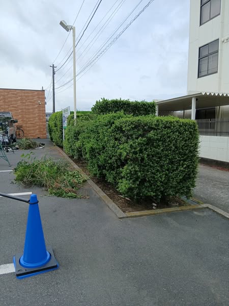 493206259 2513777515622191 985961636111441342 n - 浜野 御庭番初日 ０７０５１８